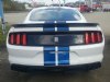 2017 Ford Mustang Shelby GT350 , Connellsville, PA