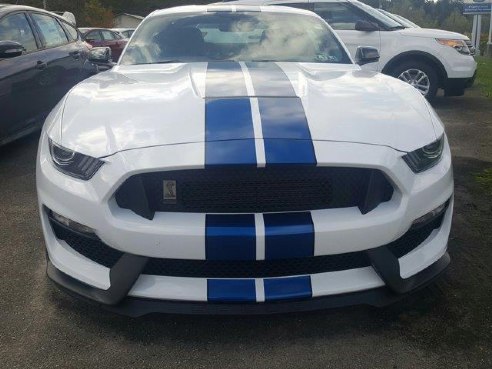 2017 Ford Mustang Shelby GT350 , Connellsville, PA