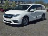 2019 Honda Odyssey EX-L White Diamond Pearl, Lawrence, MA