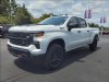 2023 Chevrolet Silverado 1500 Custom Trail Boss White, Windber, PA